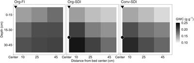 Extended soil surface drying triggered by subsurface drip irrigation decouples carbon and nitrogen cycles and alters microbiome composition